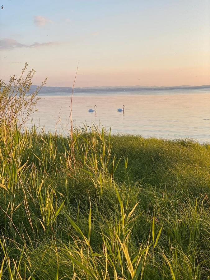 Wohlfühl-apartment Sandmuschel Im Naturschutzgebiet Mit Privatstrand FDH