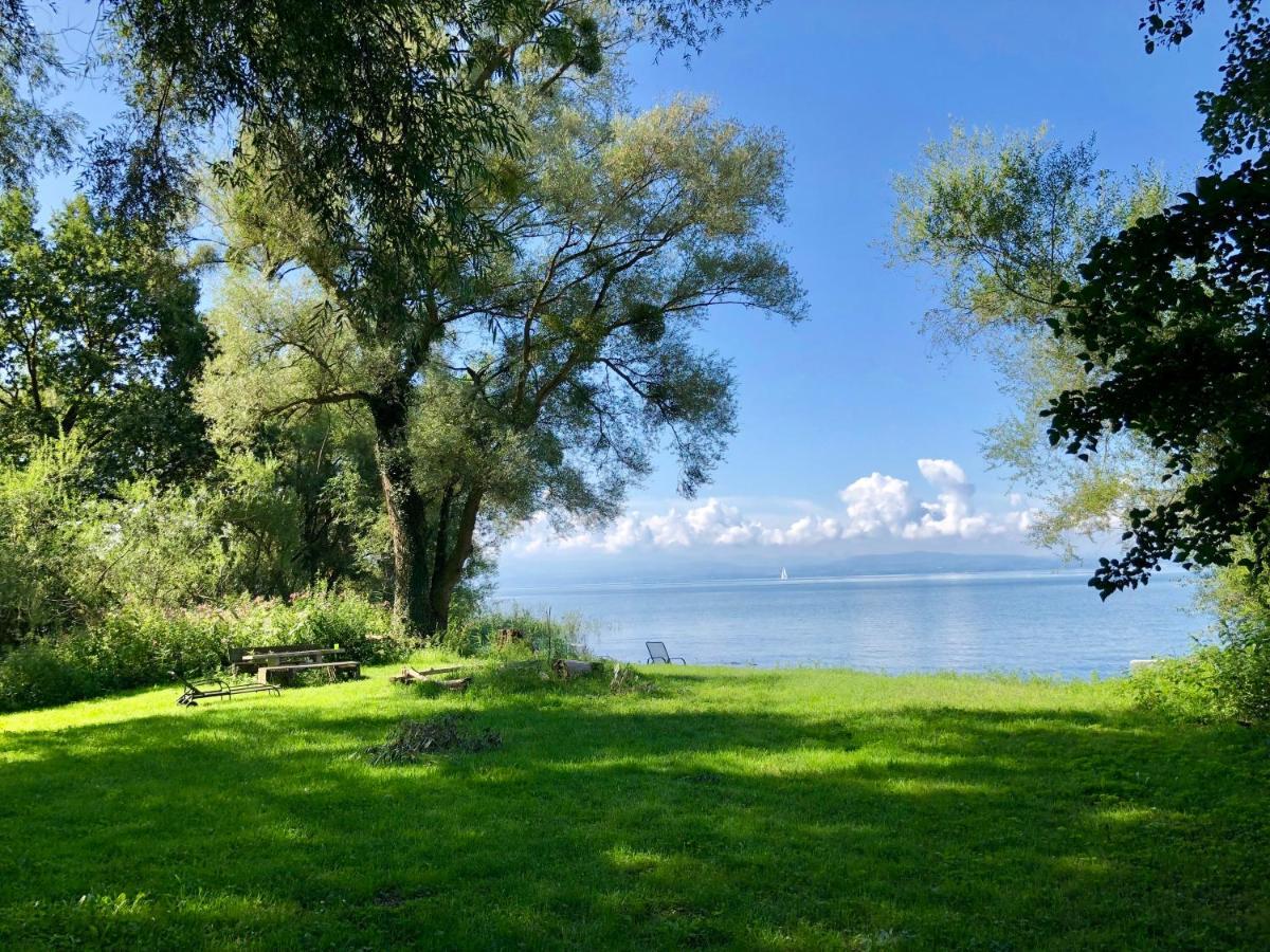 Wohlfühl-apartment Sandmuschel Im Naturschutzgebiet Mit Privatstrand FDH